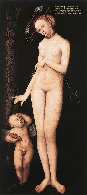 CRANACH, Lucas the Elder Venus and Cupid dsf Germany oil painting art